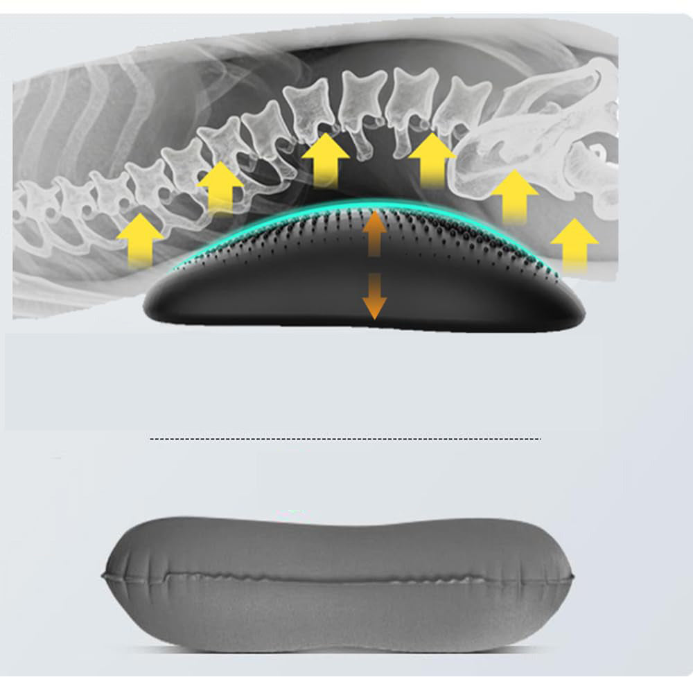 PROIRON Hamber Cushion | Inteligentne podparcie lędźwiowe z poduszką powietrzną dla ulgi w bólu pleców