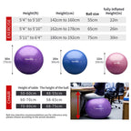 PROIRON Anti-Burst Yoga Ball with 18+ Printed Postures (65cm/75cm)